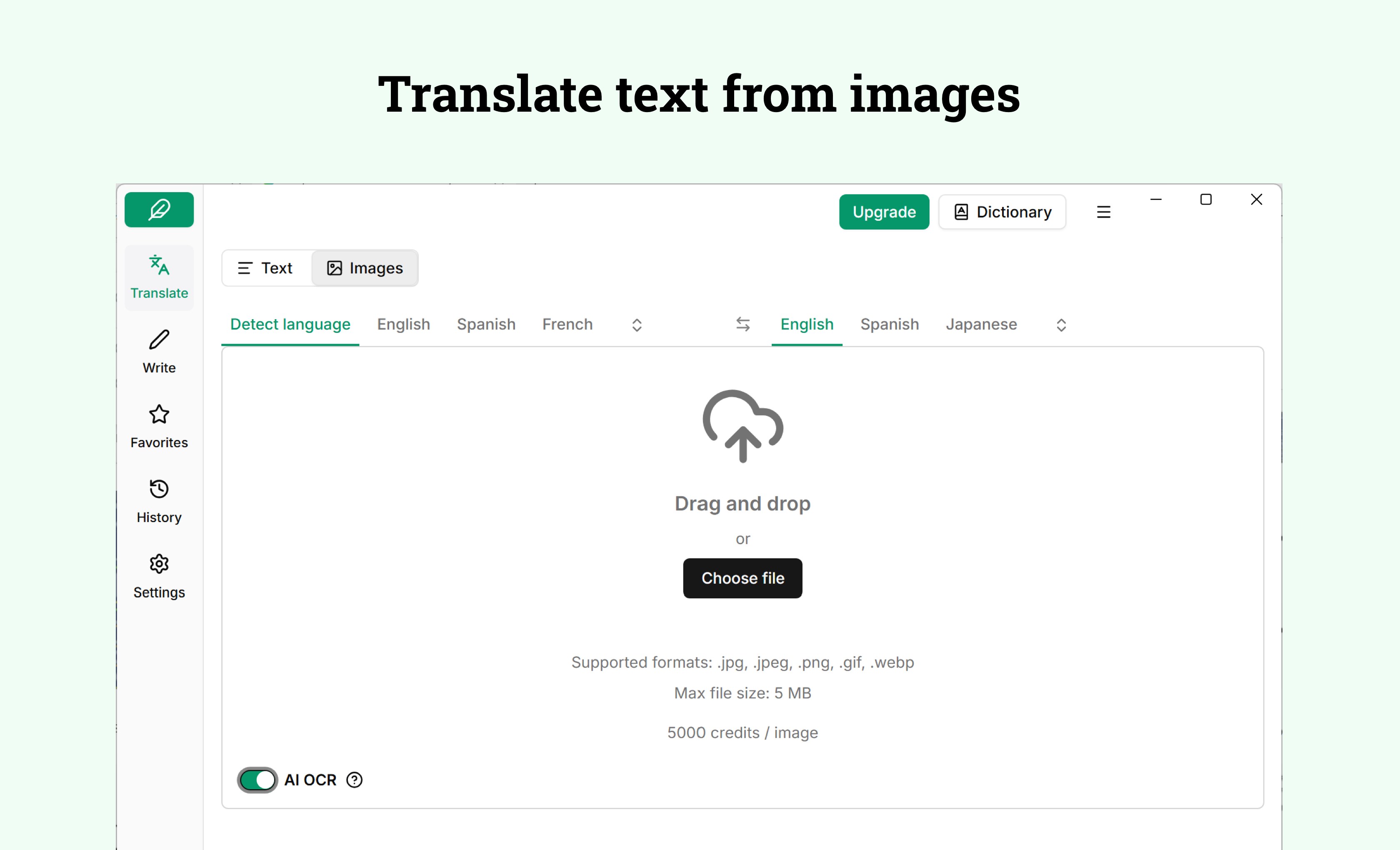 Lexibird Translate: AI Translator screenshot
