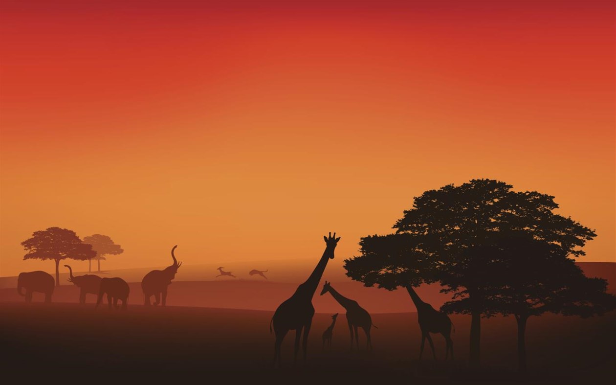 #1. What Next PREMIUM (Windows) 由: Microsoft Corporation