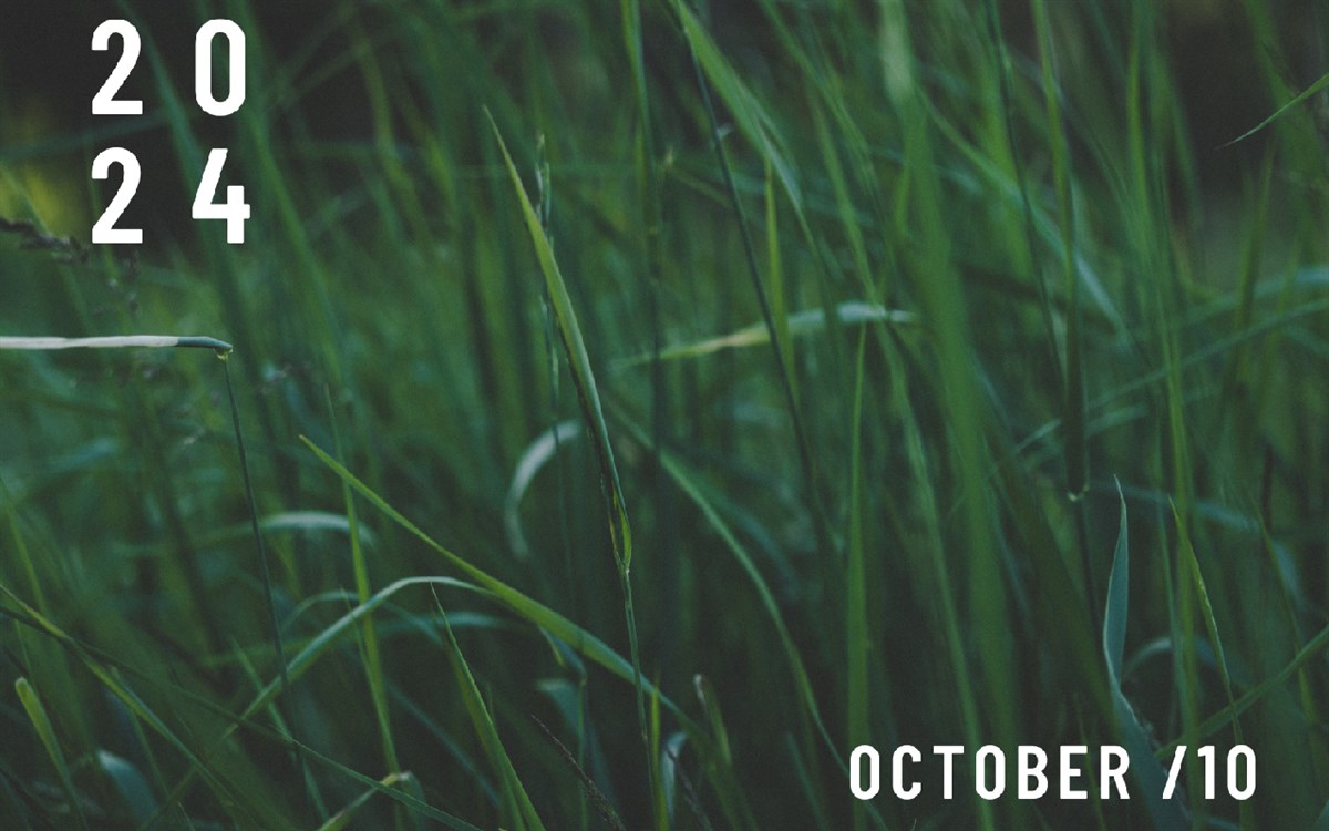 October Nature Wallpaper New Tab