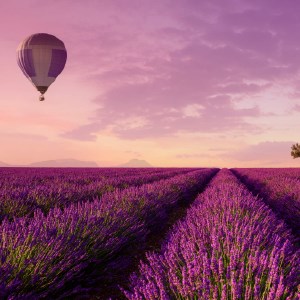 Purple Color HD Wallpapers New Tab