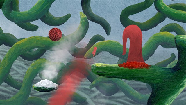 The Master's Pupil screenshot 2