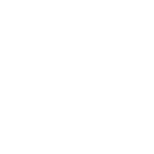 LANSA Mobile
