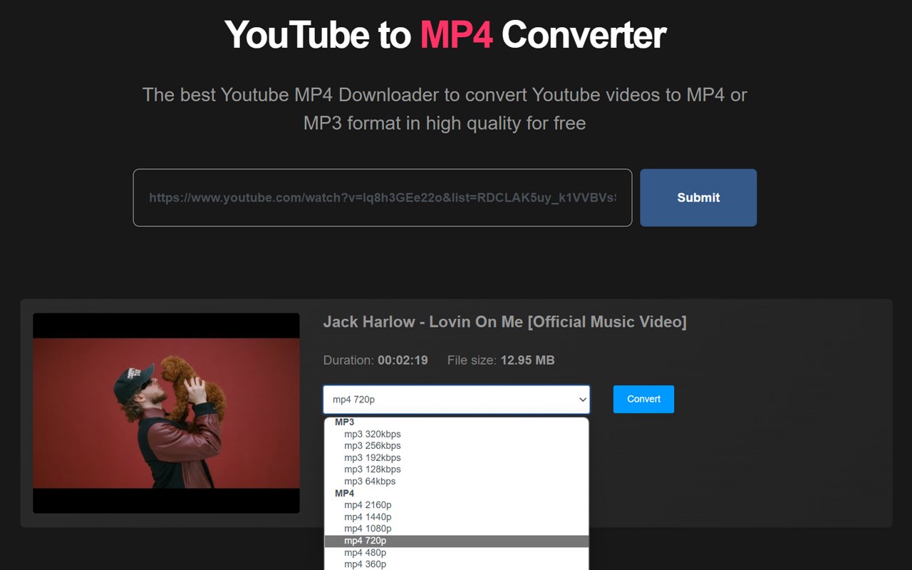 Youtube To MP4 Downloader