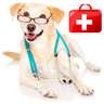 Dogs First Aid