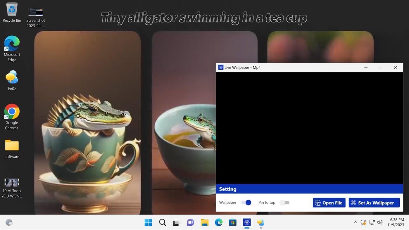 #2. Live Wallpaper - Mp4 (Windows) 由: White Moonlight