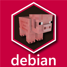 Minecraft Java Game Server On Debian 10