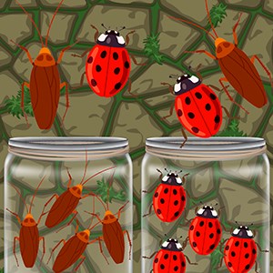 Insect Sort Puzzle Game