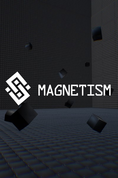 Magnetism X Magnetism X