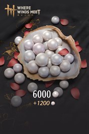 Where Winds Meet-6000 Echo Beads