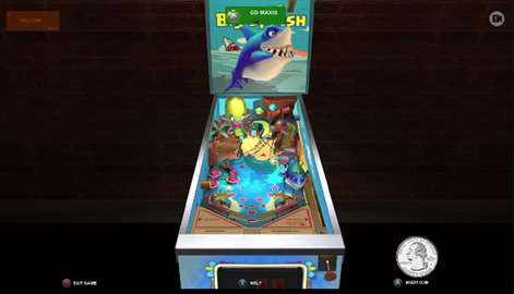 Pinball BigSplash Screenshots 2