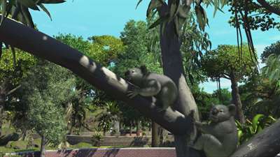 Zoo Tycoon: Ultimate Animal Collection screenshot 3