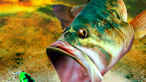 Weinig Komst Skim SEGA Bass Fishing kopen | Xbox