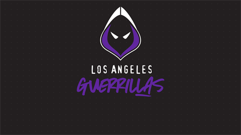 Modern Warfare® - Los Angeles Guerrillas Pack