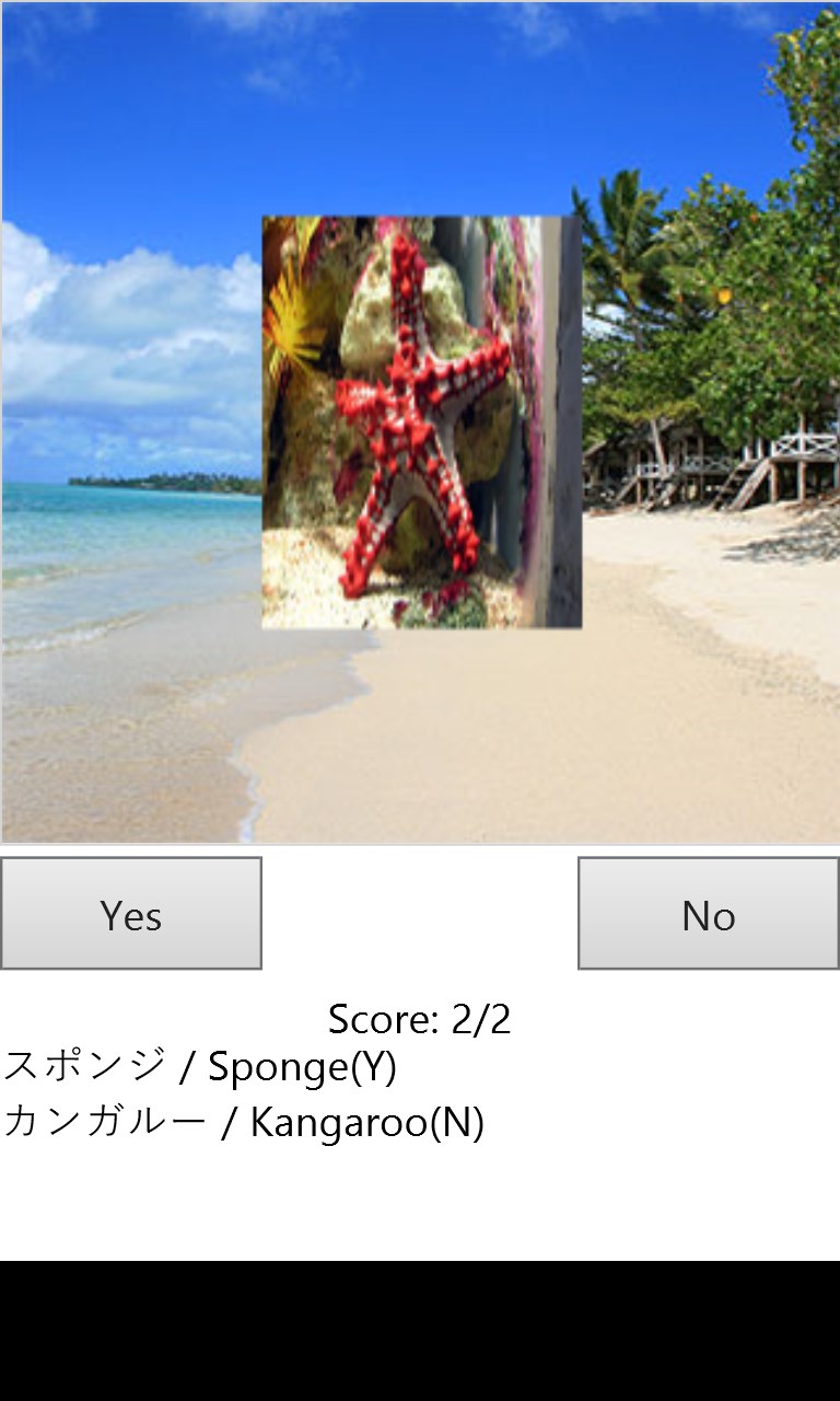 Animal World を入手 Microsoft Store Ja Jp