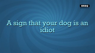 Quiplash 2 InterLASHional: The Say Anything Party Game! screenshot 4