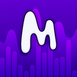 Mix Station - Music Mixer and Beat Maker