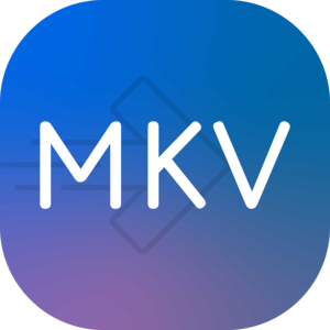 MKV Converter - MP4 to MKV
