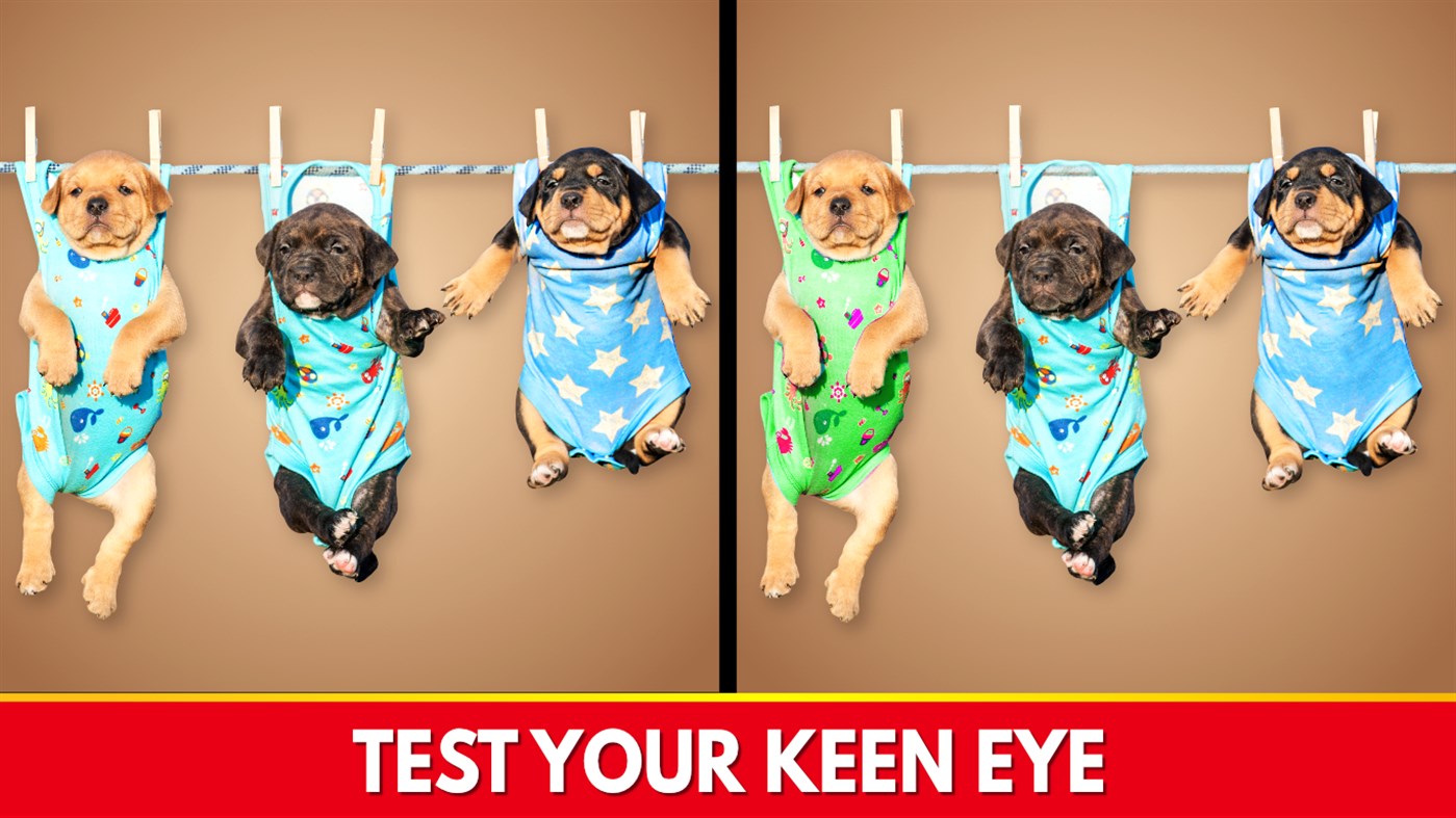 #3. Find The Differences - Spot it (Windows) Με: RV AppStudios