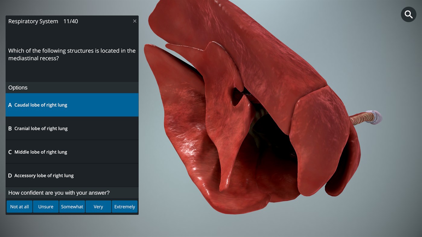#2. EasyAnatomy - 3D Canine Anatomy (Windows) Podle: LlamaZOO Interactive Inc.