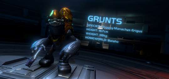 Halo Recruit screenshot 2