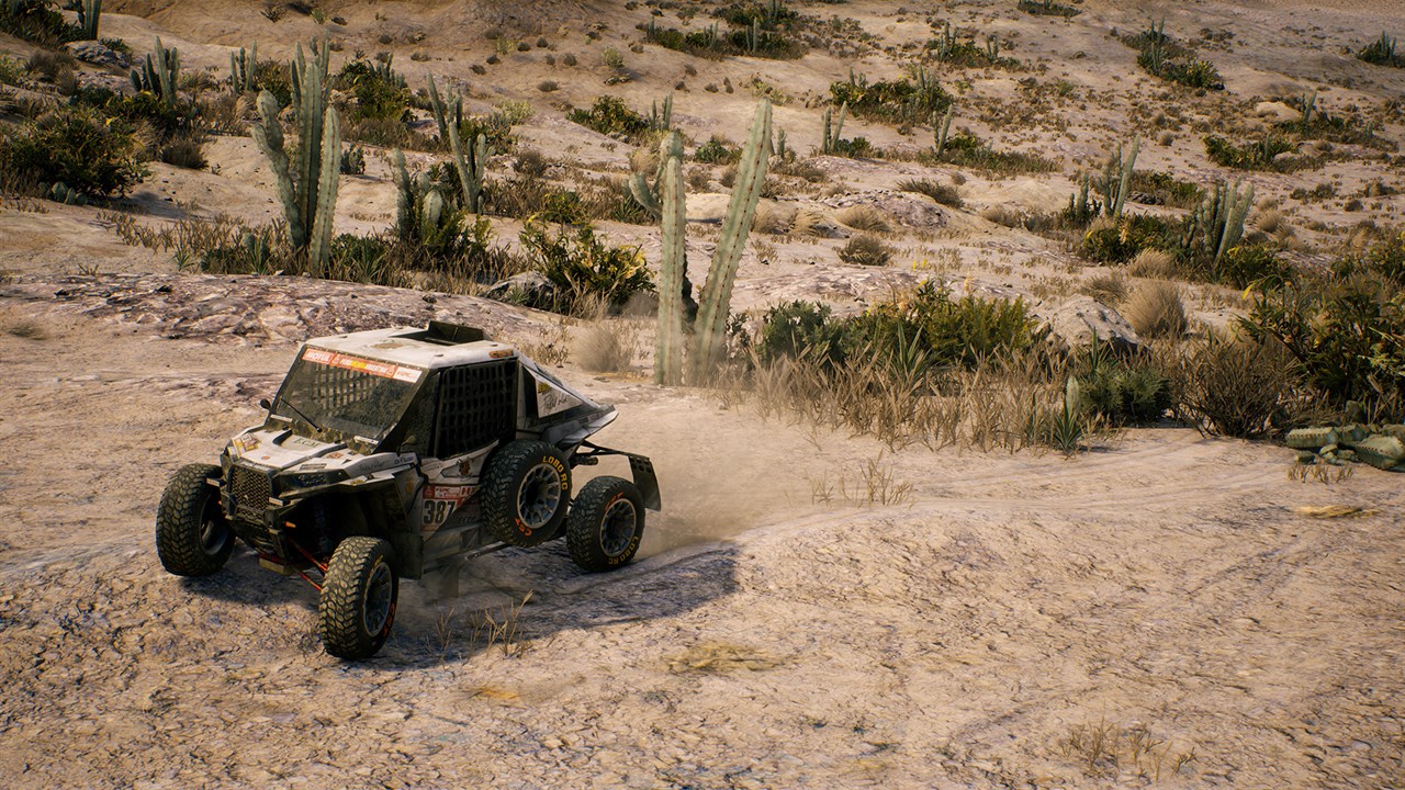 DAKAR 18 screenshot 5