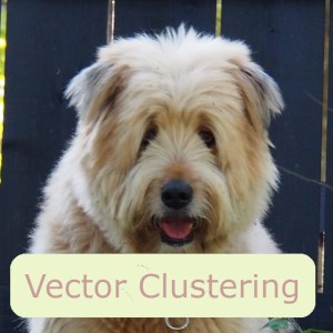 Machine Learning Clustering Tool