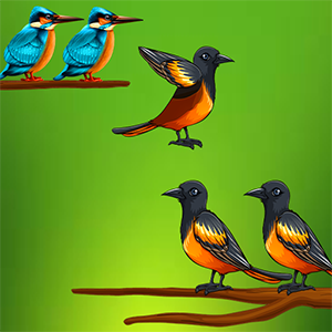 Bird Sort Color Puzzle Game