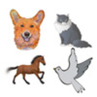 Breeds of the world