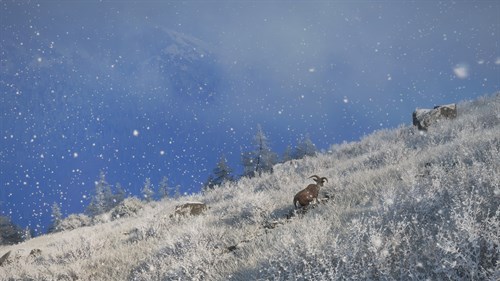 theHunter: Call of the Wild™ - Sundarpatan Nepal Hunting Reserve