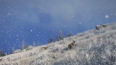 theHunter: Call of the Wild™ - Sundarpatan Nepal Hunting Reserve — скриншот 22