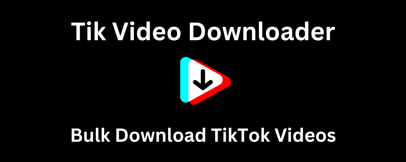 TikTok Video Downloader