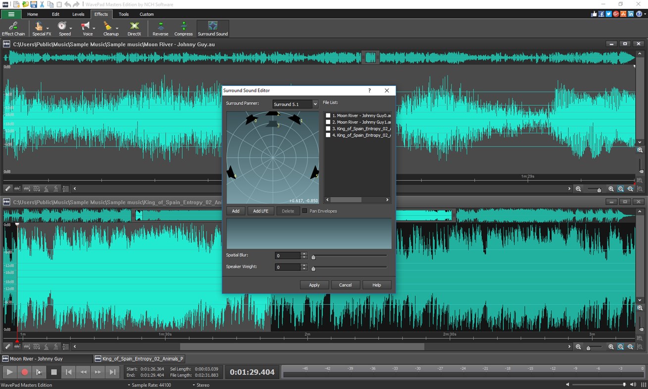 #4. WavePad (Windows) Door: NCH Software