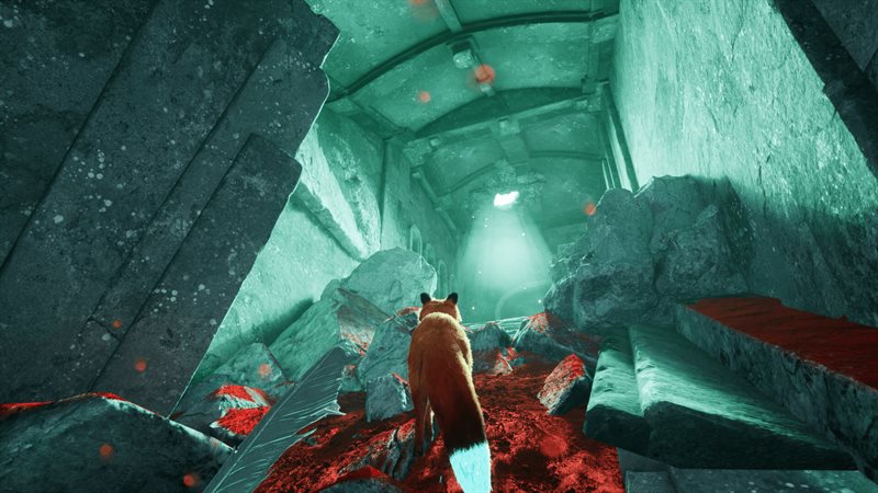 Screenshot 15
