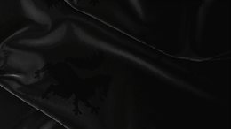 Aperçu Crusader Kings III: Collection Bundle II