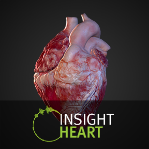 INSIGHT HEART VR