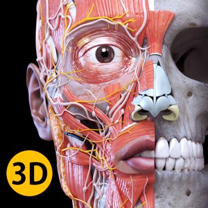 解剖学 - 3Dアトラス - Anatomy 3D Atlas