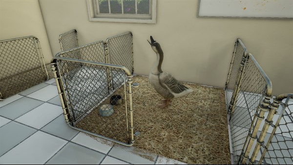 Animal Doctor screenshot