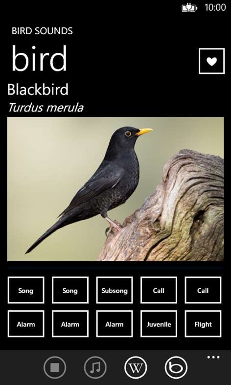 Bird Sounds Screenshots 2