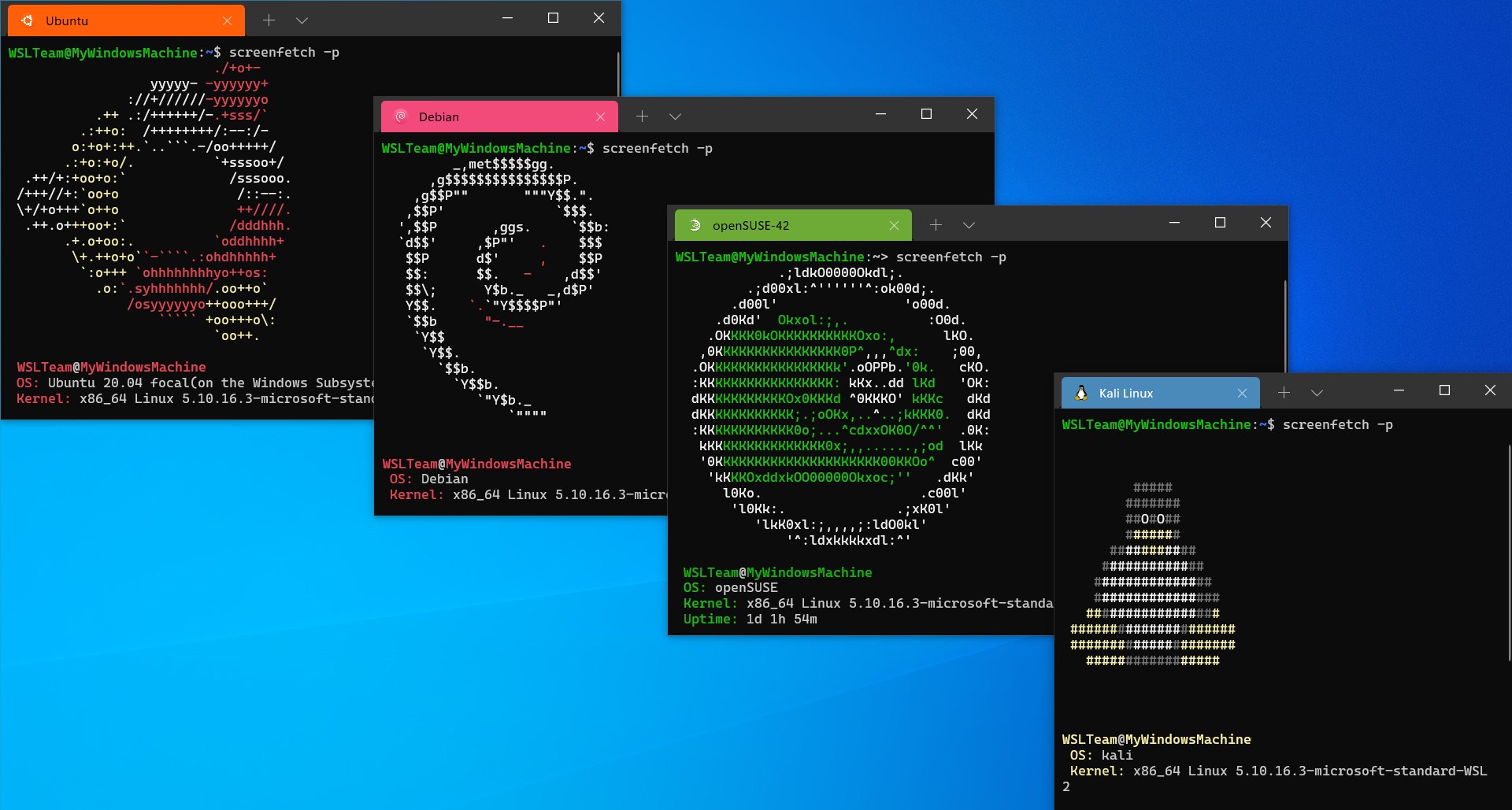 Windows Subsystem for Linux Screenshot