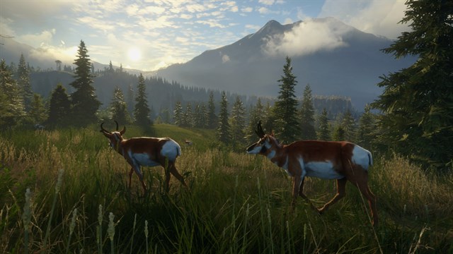theHunter Call of the Wild - Silver Ridge Peaks screenshot 1