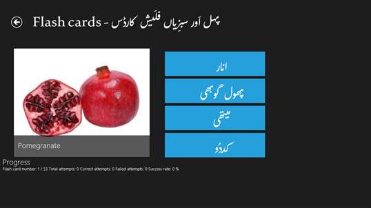 Learn Urdu screenshot 8
