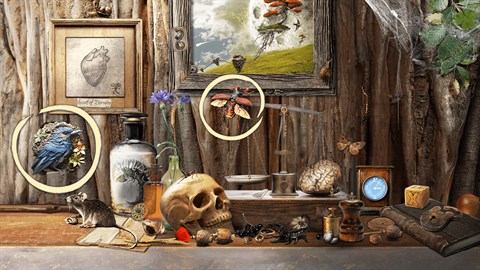 Time Trap: Objetos Ocultos