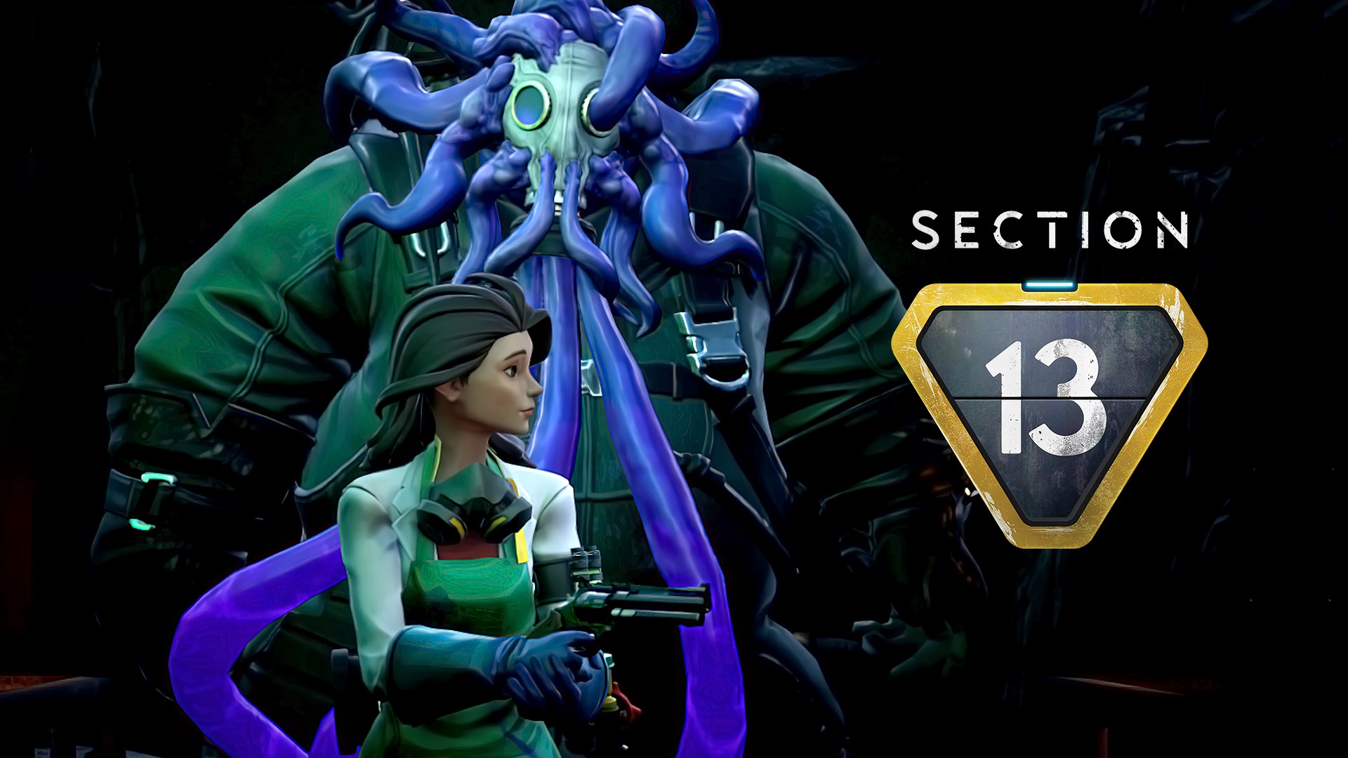 Section 13 screenshot thumbnail video