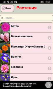 Цветочный посевной календарь screenshot 1