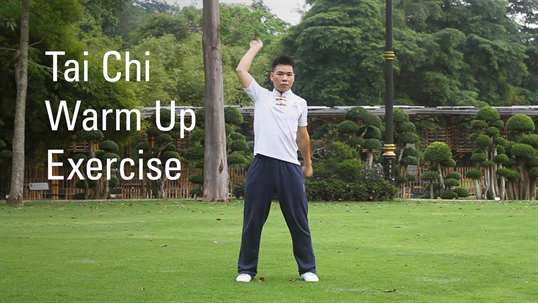 Tai Chi - A Master Class screenshot 5