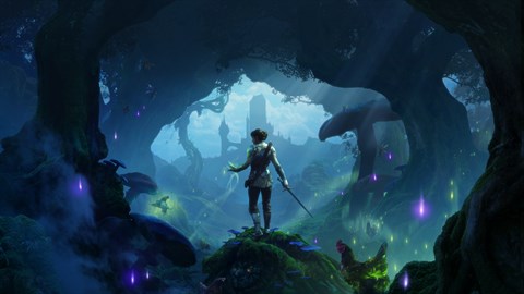 Fable Premium Edition