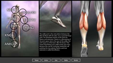Muscle and Bone Anatomy 3D Screenshots 1
