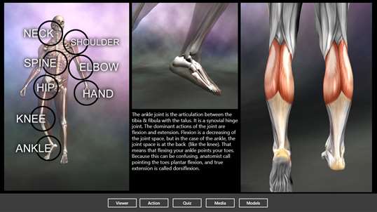 Muscle and Bone Anatomy 3D screenshot 1