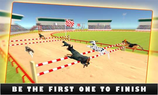 Greyhound K9 Dog Racing Sprint screenshot 4