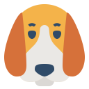 Beagle dog HD Wallpapers - Custom New Tab